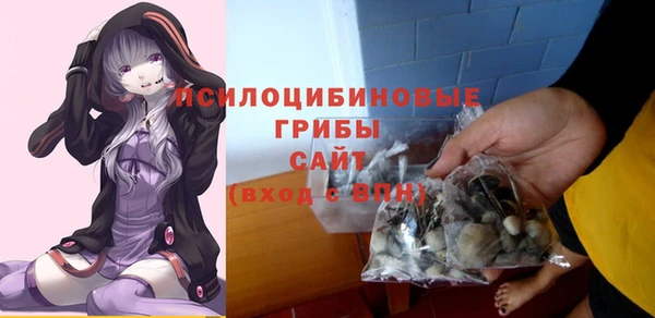 мескалин Богородицк