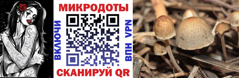 Галлюциногенные грибы прущие грибы цены Дигора