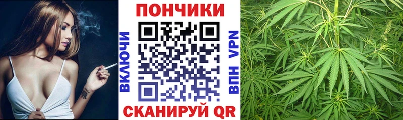 Марихуана тримм  купить наркотики сайты  Дигора 